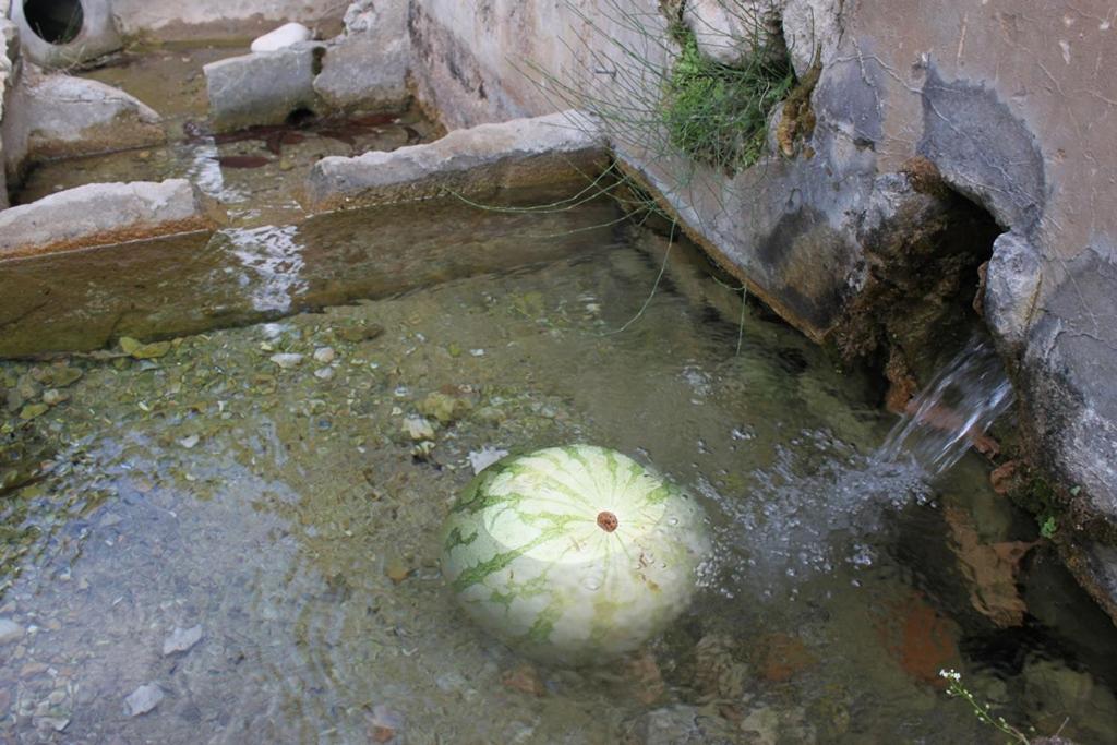 El Molinet Del Governador グアダレスト エクステリア 写真